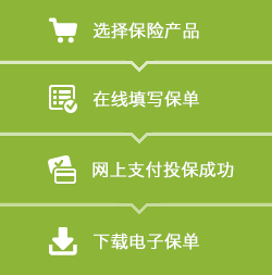 选择保险产品，在线填写保单，网上支付投保成功，下载电子保单